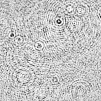 Unveil Nanoparticles