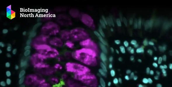 Bioimagingna26