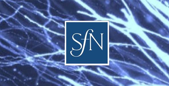 Sfn26