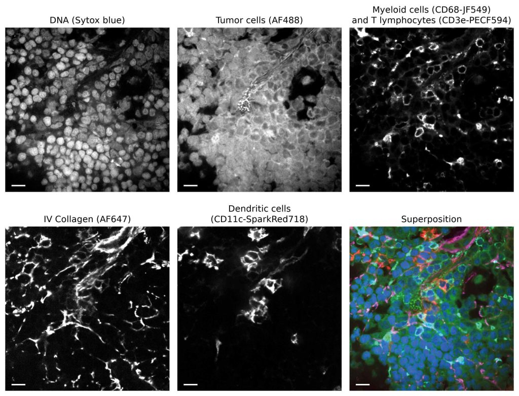 Biophotonics Figure 1 Web
