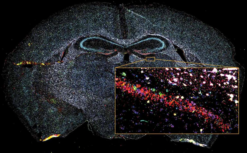 Biophotonics Figure 3 Web